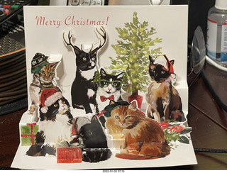 Olga and Anthony holiday/birthday card - 3D cats