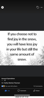 If you choose not to find joy in the snow,...