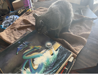 my cat Devin investigating Alanna's old records