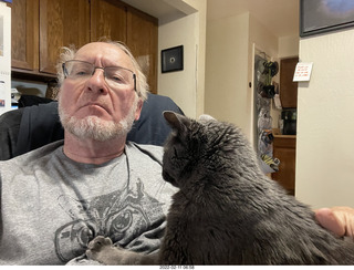 my cats Jane and Devin