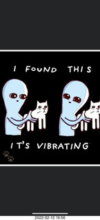 i found this (cat) it's vibrating