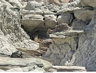 Page - Wahweap hoodoos