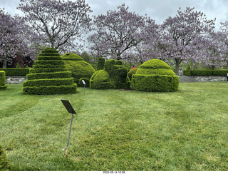 450 a1f. Longwood Gardens topiary