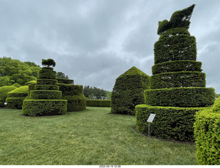 453 a1f. Longwood Gardens topiary