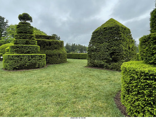 Longwood Gardens topiary