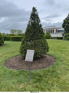 459 a1f. Longwood Gardens topiary sign