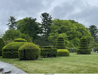 464 a1f. Longwood Gardens topiary