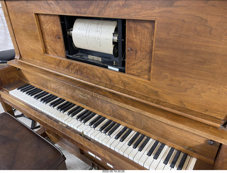 Longwood Gardens topiary