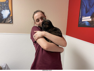 cat Miss Pris from web-page ad