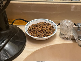 door open with cat Miss Pris in the bathroom