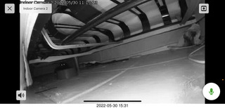 Miss Pris under the couch