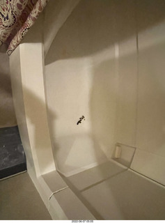 2 a1g. miss pris poop in my middle bathroom bathtub