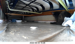 23 a1g. Miss Pris under my couch