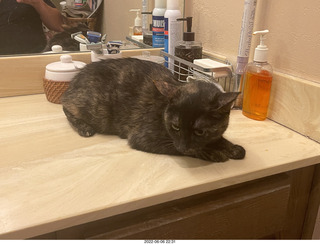 Miss Pris in the middle bathroom