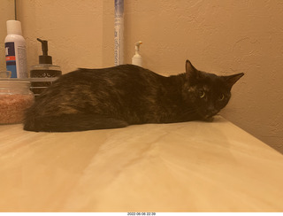 Miss Pris in the middle bathroom