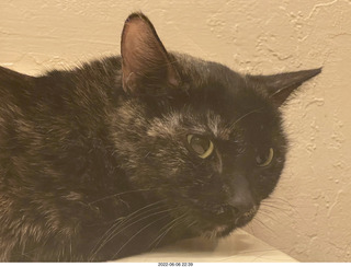 Miss Pris in the middle bathroom