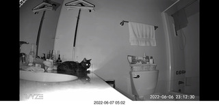 Miss Pris in the middle bathroom