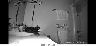 Miss Pris in the middle bathroom