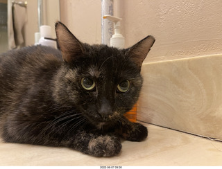 Miss Pris in the middle bathroom