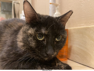 Miss Pris in the middle bathroom