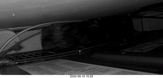 my cat Miss Pris behind my refrigerator