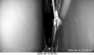 my cat Miss Pris behind my refrigerator