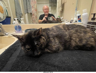 my cat Miss Pris in the dark