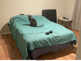 267 a1h. home construction - my old bed in middle bedroom + cat Devin