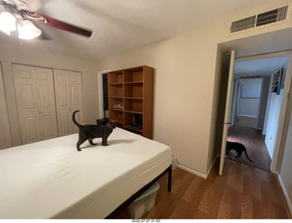 280 a1h. home construction - master bedroom + cat Devin