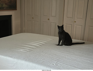 290 a1h. home construction done - master bedroom + my cat Devin