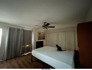 home construction done - master bedroom + my cat Devin