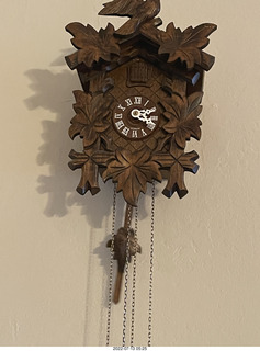 322 a1h. home construction done - my cuckoo clock from Hedda Bird