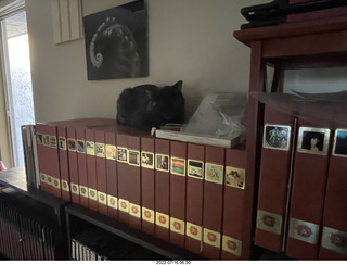 my cat Miss Pris on my reel tapes