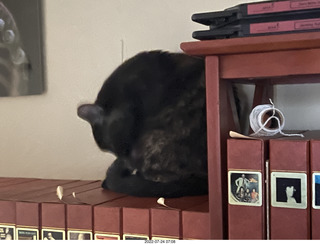 my cat Miss Pris atop my reel tapes