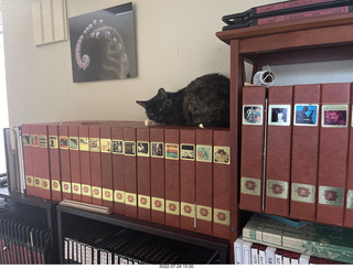 my cat Miss Pris atop my reel tapes