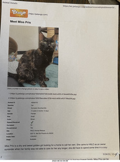 Halo Cat Rescue paperwork for my cat Miss Pris