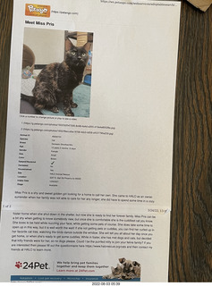 Halo Cat Rescue paperwork for my cat Miss Pris