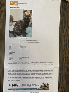 Halo Cat Rescue paperwork for my cat Miss Pris