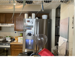 Halo Cat Rescue paperwork for my cat Miss Pris