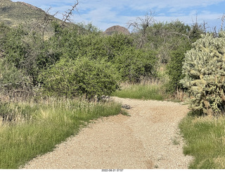 Marcus Landslide Trail