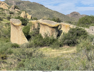 Marcus Landslide Trail - mushroom rocks