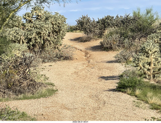 Marcus Landslide Trail