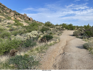 Marcus Landslide Trail