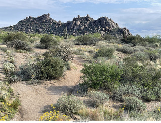 Marcus Landslide Trail