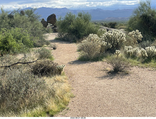 Marcus Landslide Trail