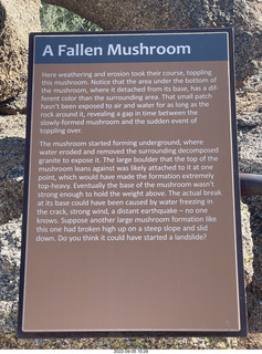 Marcus Landslide Trail - fallen mushroom sign