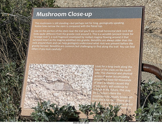 Marcus Landslide Trail - mushroom sign