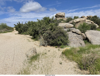 Marcus Landslide Trail