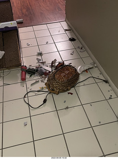 my cats Devin and Miss Pris atop my tapes