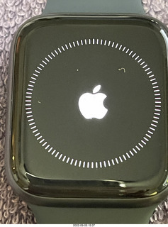 Apple Watch setting up